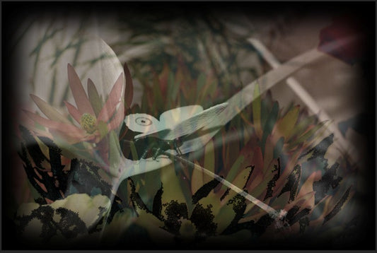 Eve MUNDY: Synthetic garden 5