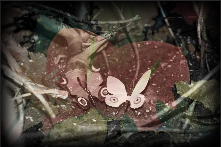 Eve MUNDY: Synthetic garden 6