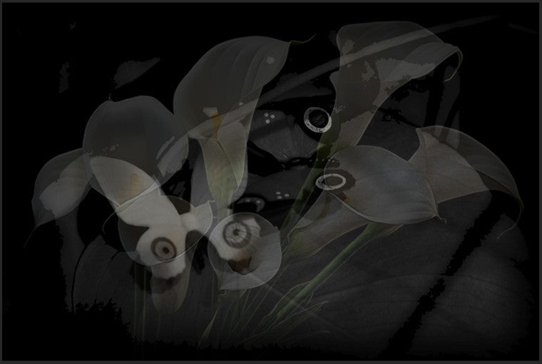 Eve MUNDY: Synthetic garden 8