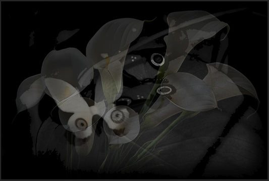 Eve MUNDY: Synthetic garden 8