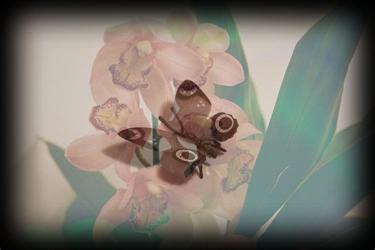 Eve MUNDY: Synthetic garden 9