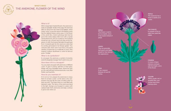 Flower Delights: 40 Enjoyable Things to Do with Flowers, PRINCE, SARA