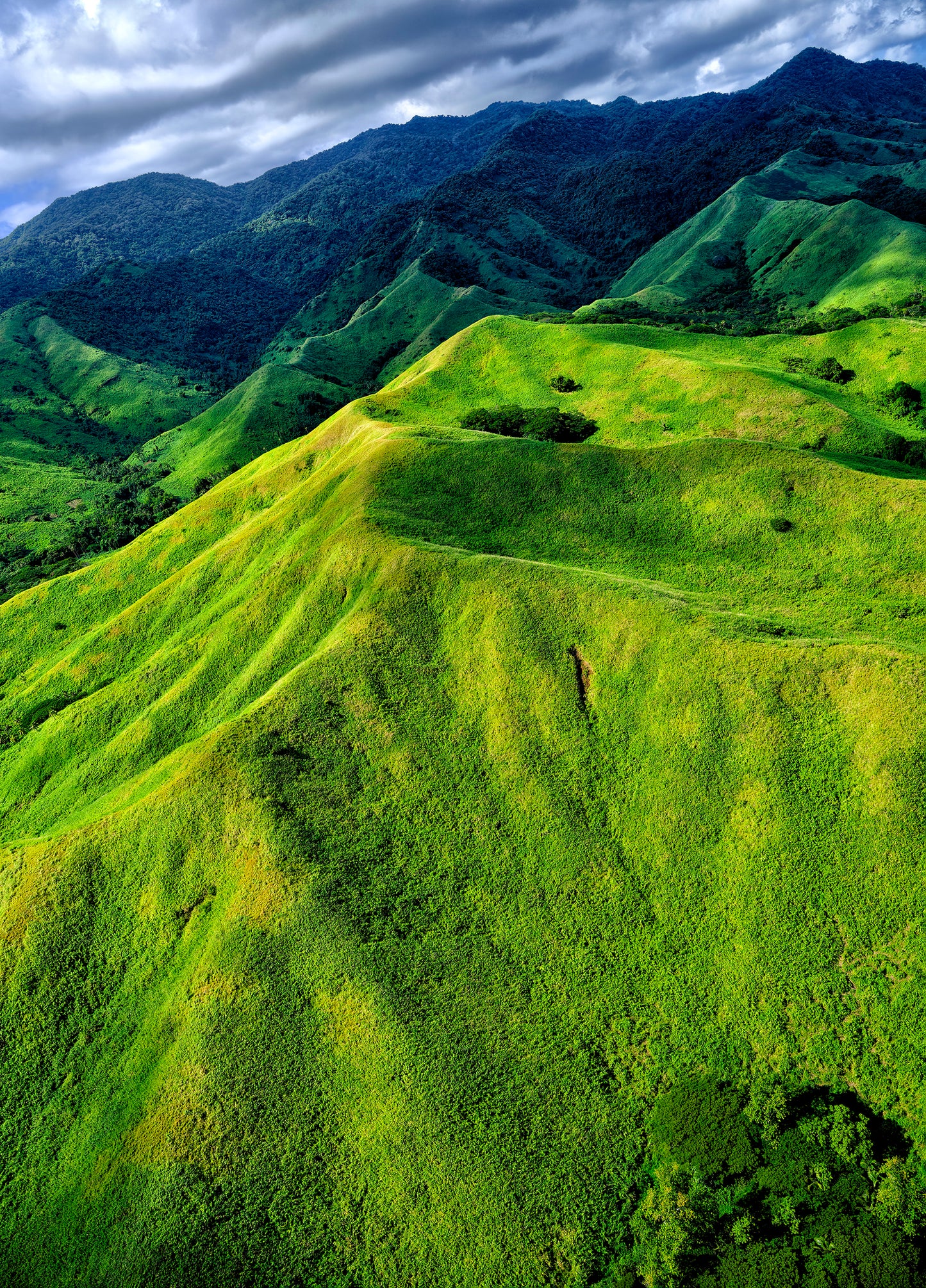 Stuart CHAPE: Gold green hills, Fiji