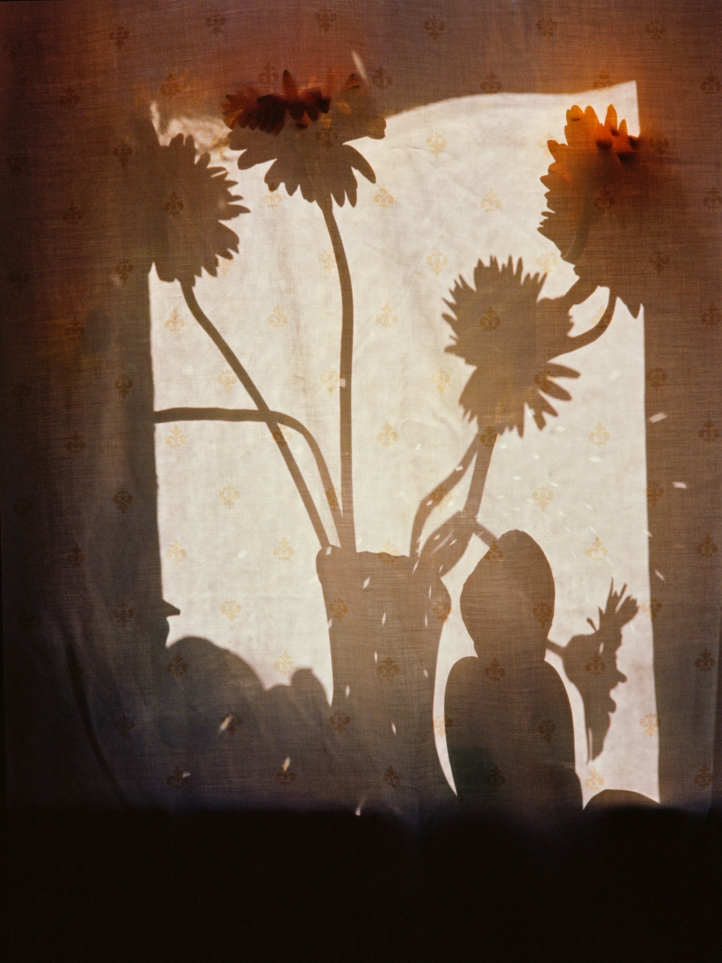 Katrin KOENNING: light at my window (one)