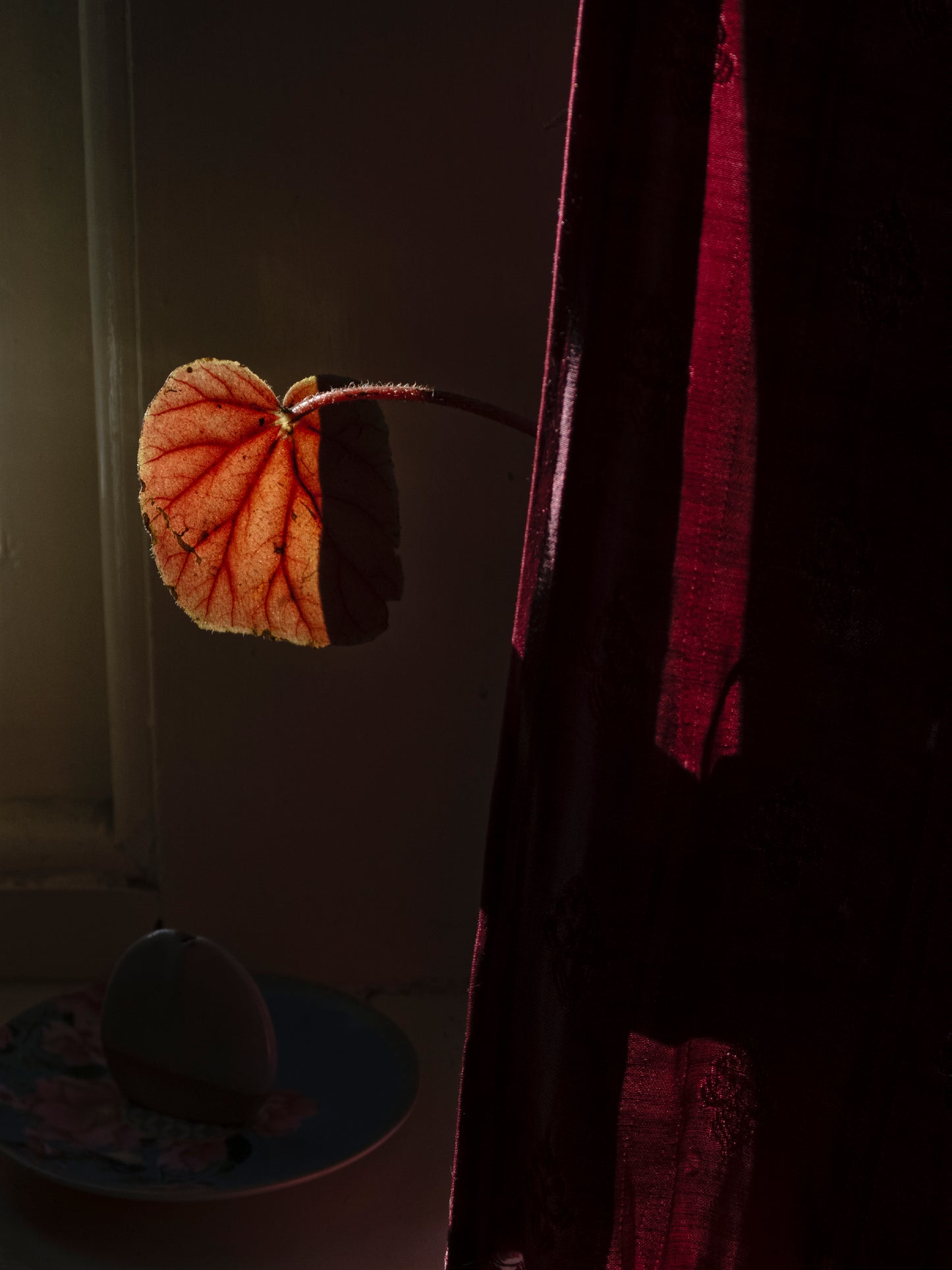 Katrin KOENNING: light at my window (two)