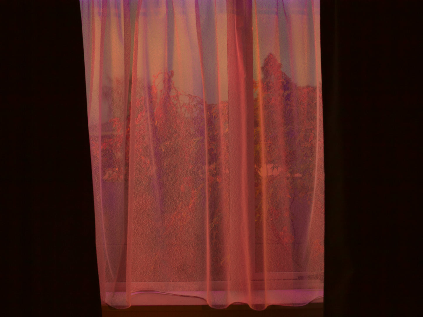 Katrin KOENNING: Waiotapu