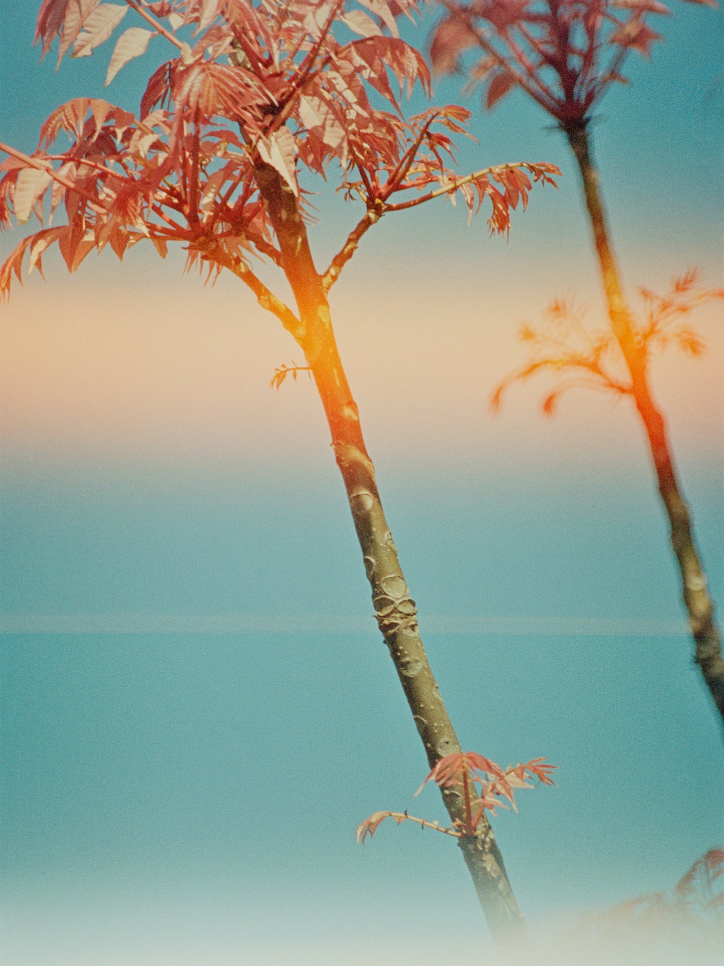 Katrin KOENNING: morning in the neighbourhood (one)
