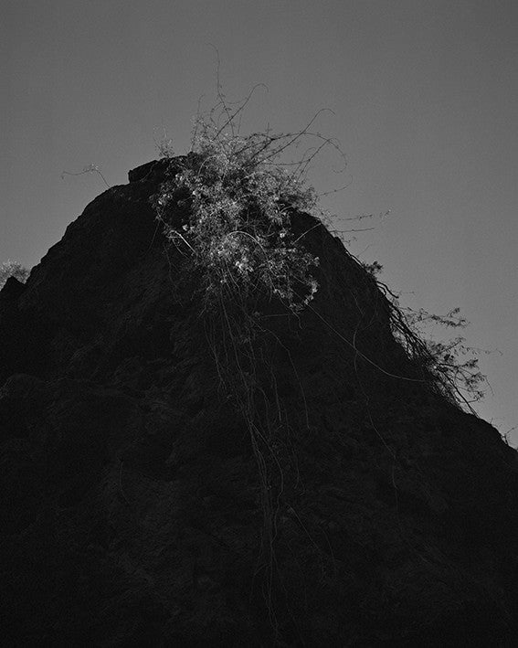 Katrin KOENNING: Little mount II