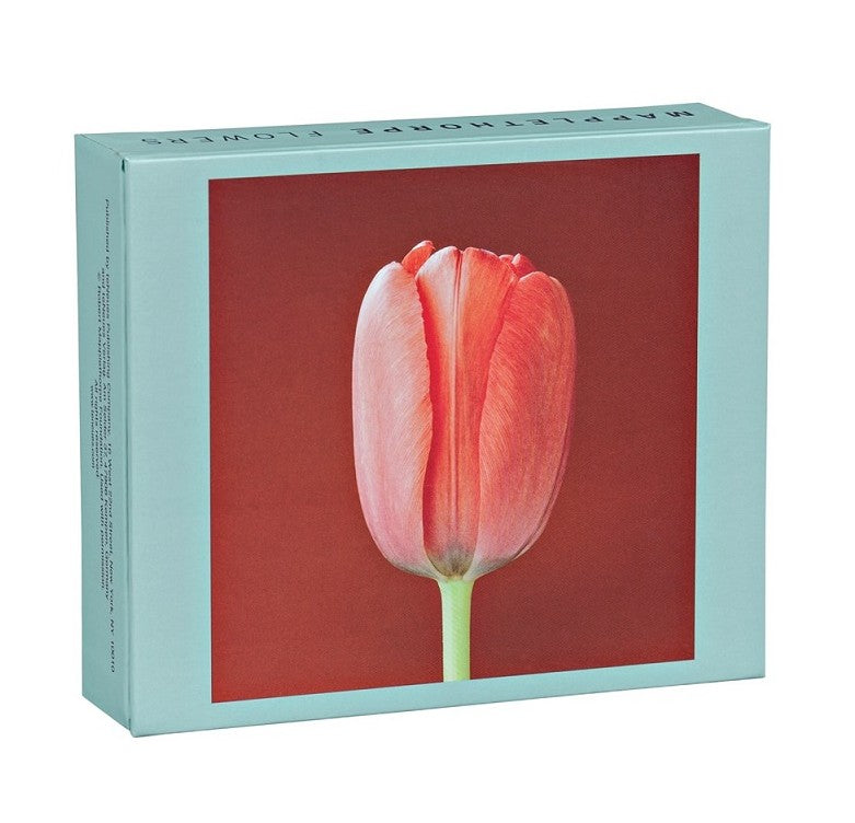 Mapplethorpe Flowers: QuickNotes