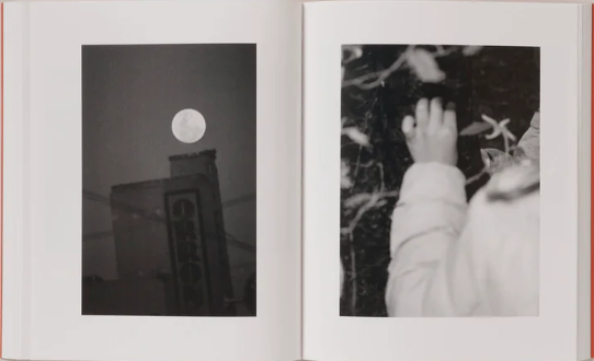Katrin Koenning - Between the skin and sea