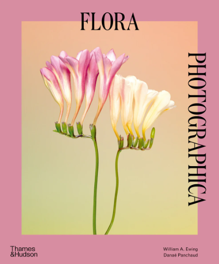 Flora Photographica by William A. Ewing, Danaé Panchaud