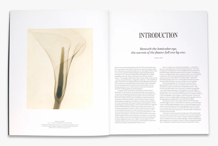 Flora Photographica by William A. Ewing, Danaé Panchaud