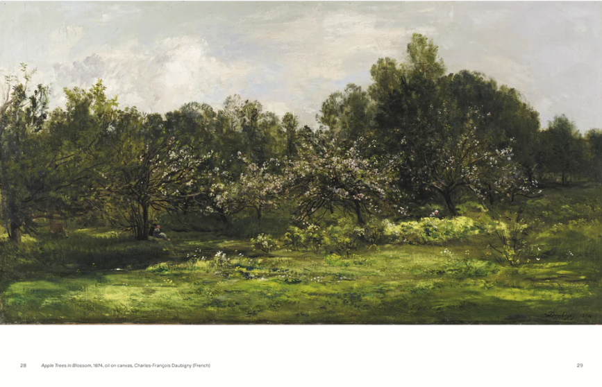 Slow Looking: The Art of Nature by Olivia Meehan