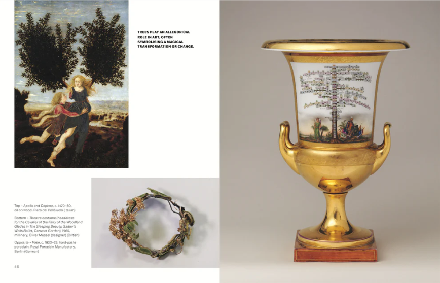 Slow Looking: The Art of Nature by Olivia Meehan