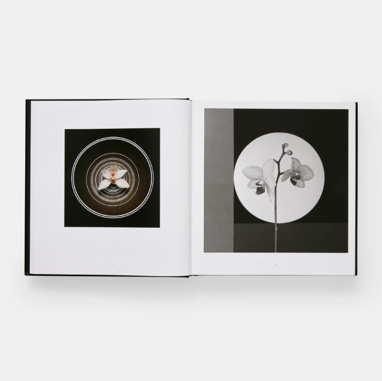 Mapplethorpe Flora: The Complete Flowers