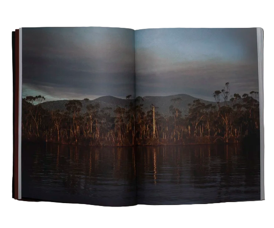 The Crimson Thread by Erin Lee Holland