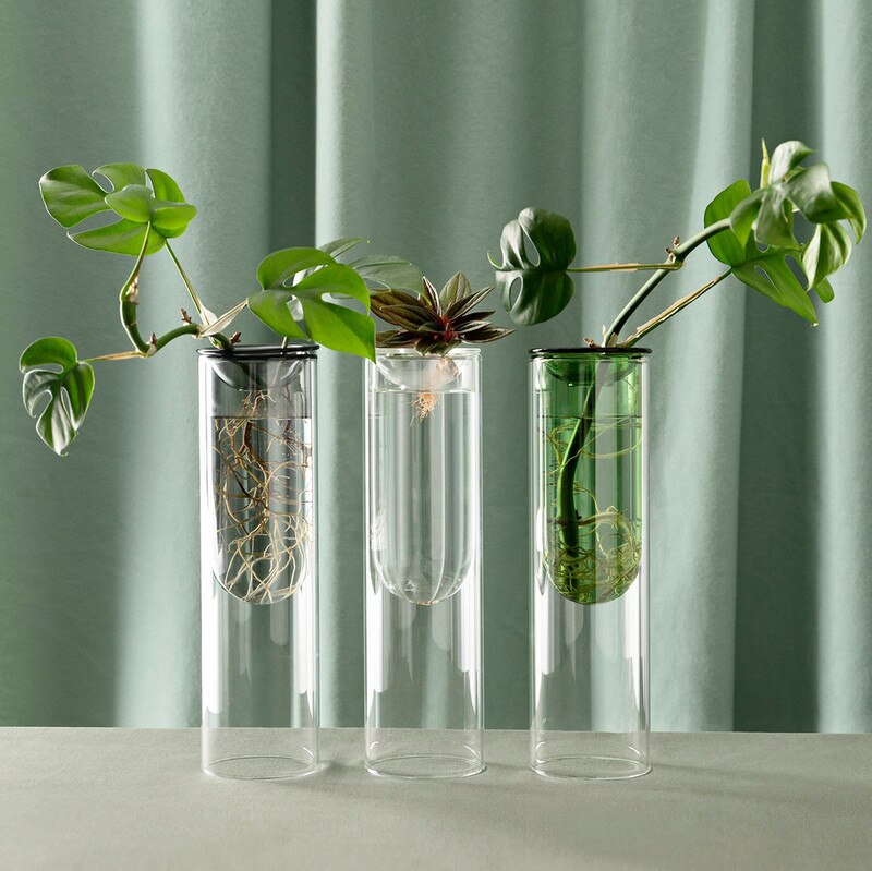Propagation tall vase - clear