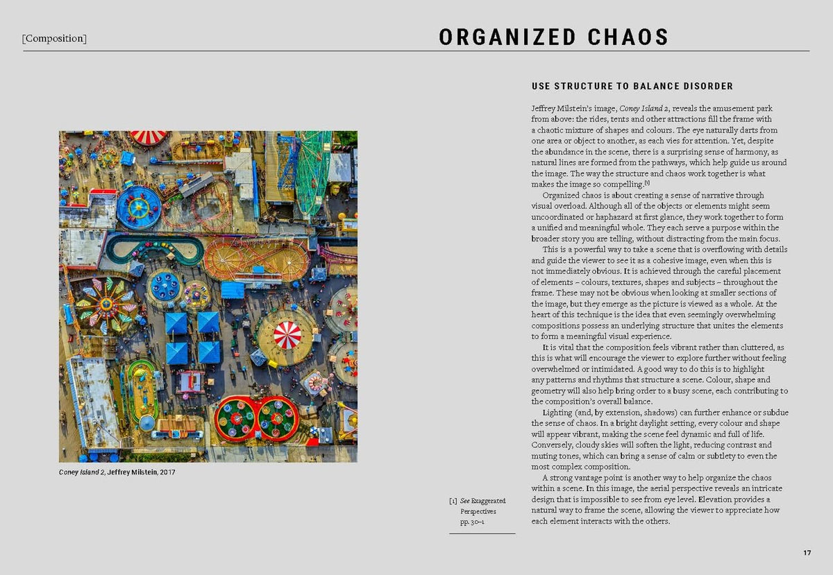 The Maximalist Photographer: 50 techniques for capturing beauty in excess