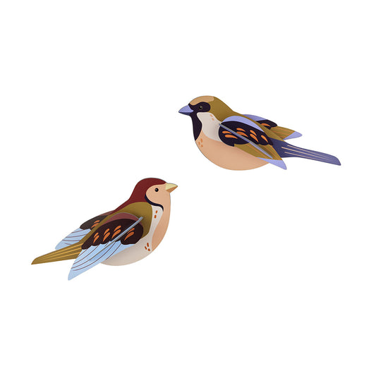 Studio Roof wall art - Garden birds (B6) Sparrows