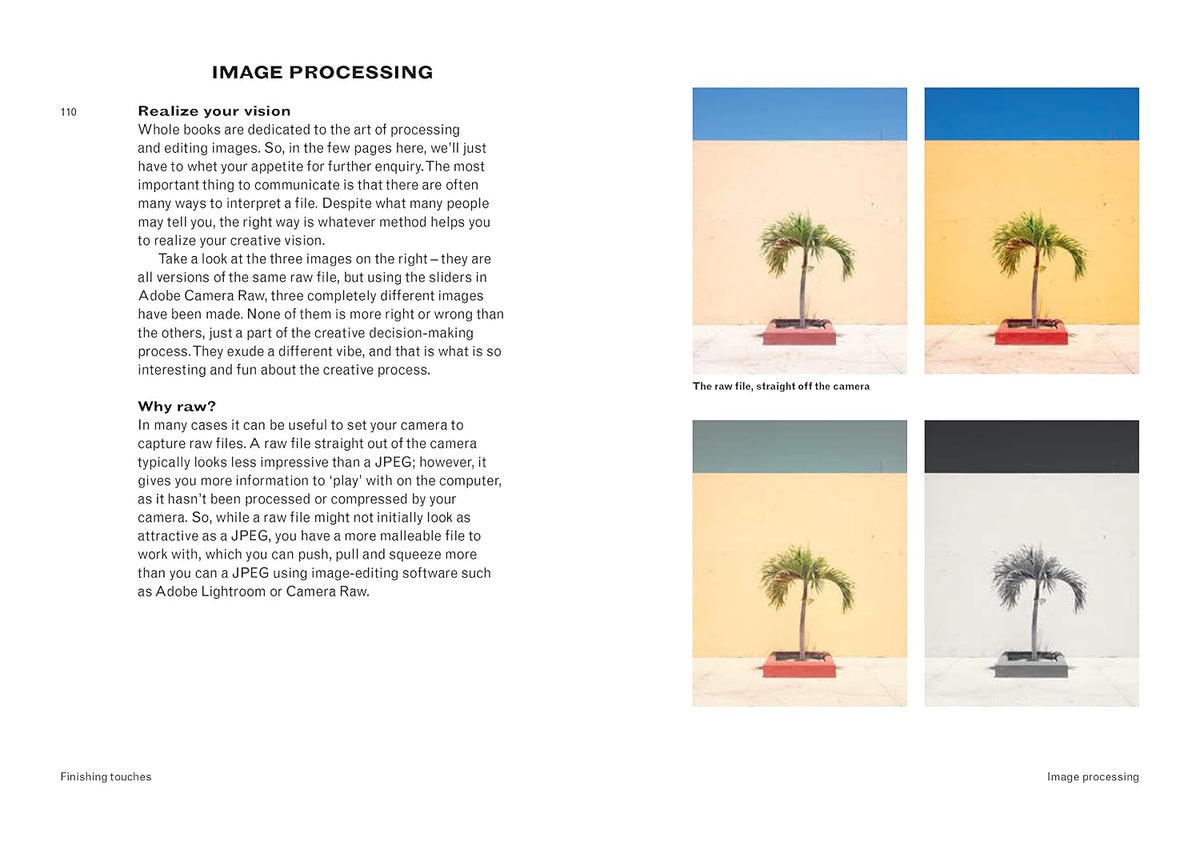 You will be able to take great photos by the end of the is book: A new approach to image-making