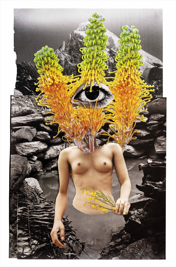 Del Kathryn BARTON: bloom in water