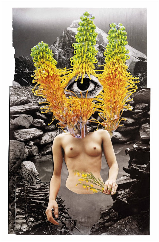 Del Kathryn BARTON: bloom in water