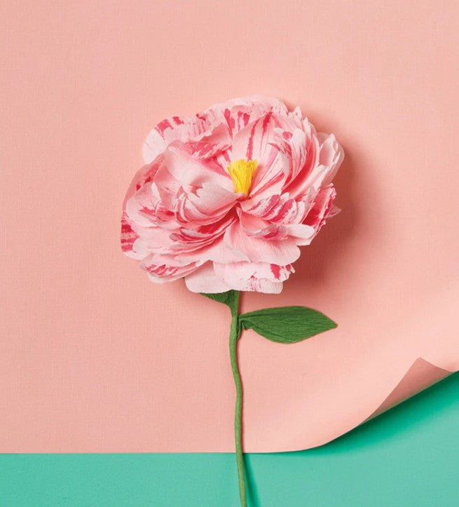 Create Your Own Paper Flowers