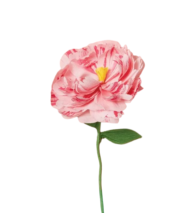 Create Your Own Paper Flowers