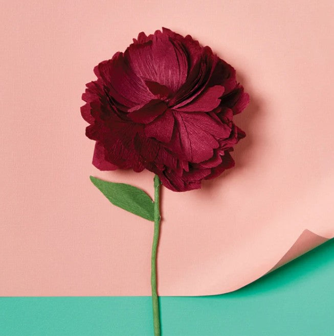 Create Your Own Paper Flowers
