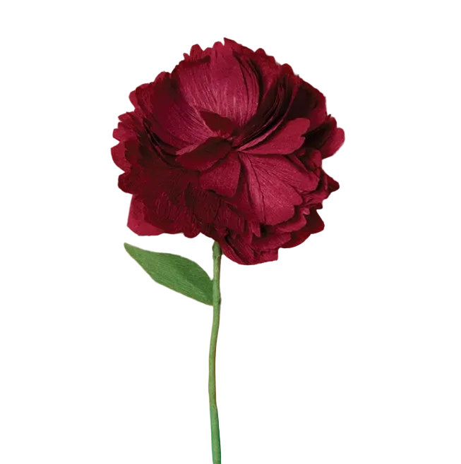 Create Your Own Paper Flowers