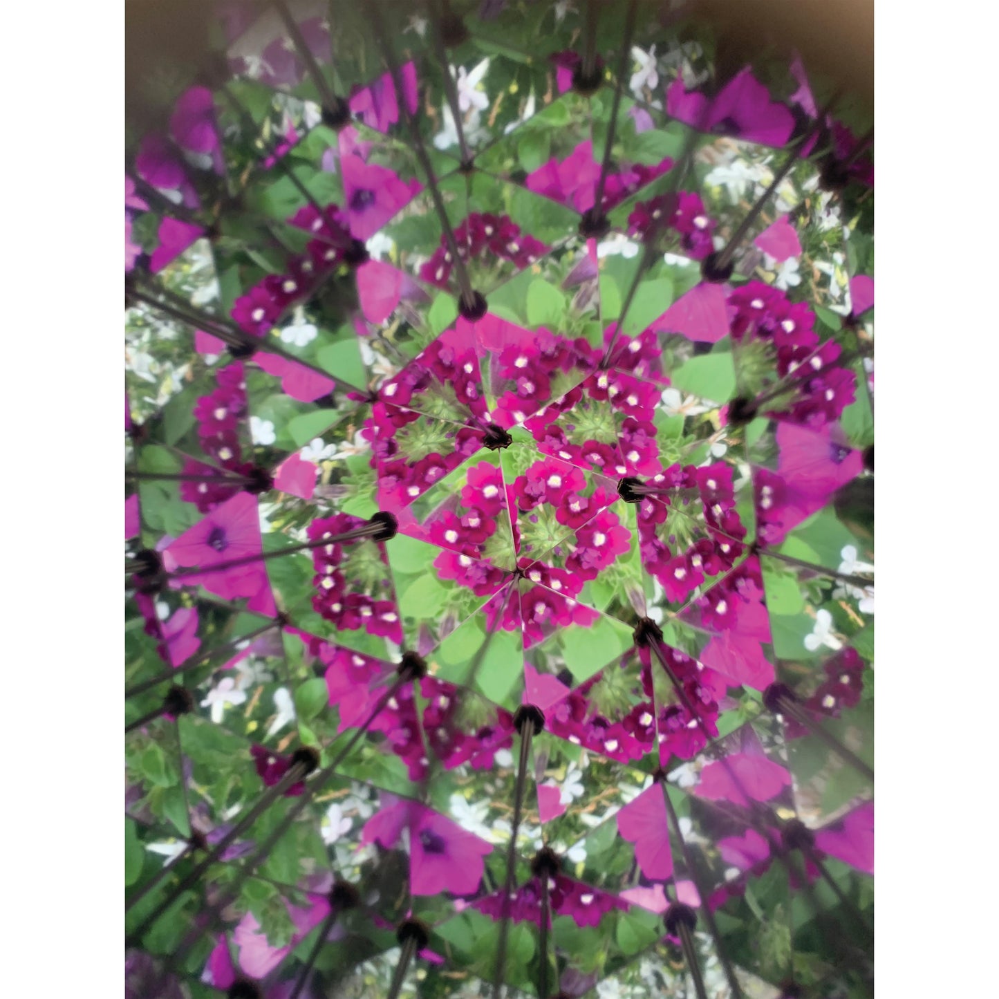 Nature kaleidoscope