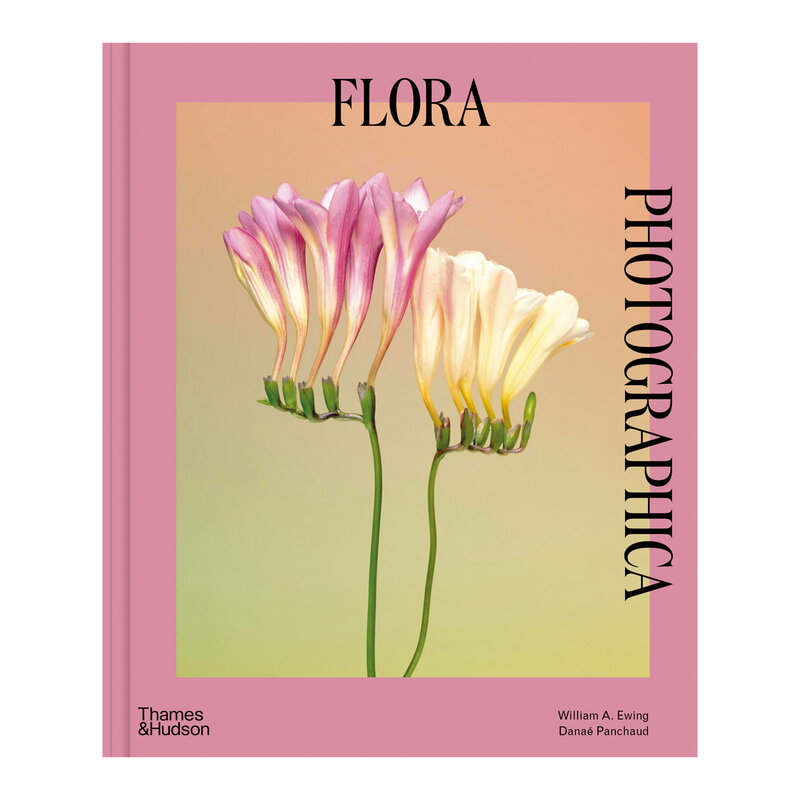 Flora Photographica- The Flower in Contemporary Photography