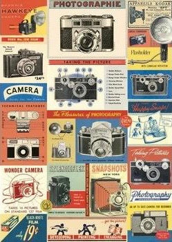 Cavallini - Vintage Cameras poster