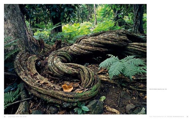 Peter Dombrovskis: Journeys into the wild