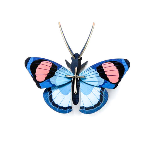 Peacock butterfly small wall decoration