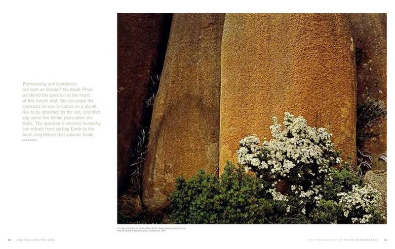 Peter Dombrovskis: Journeys into the wild